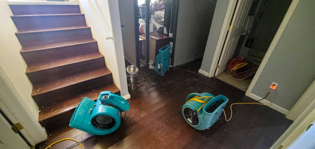 Best Flood damage cleanup  in Midlothian, TX
