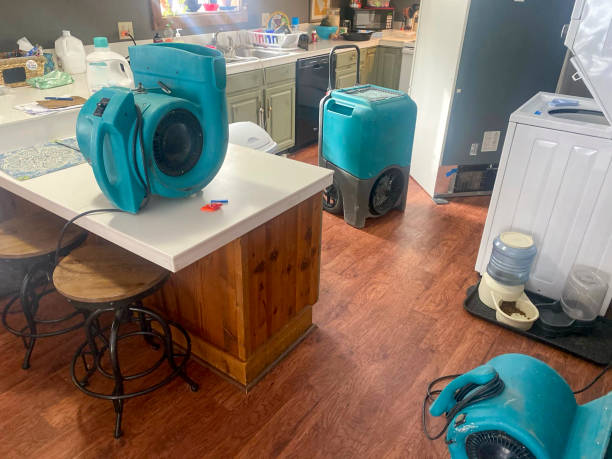 Best Water damage mitigation services  in Midlothian, TX