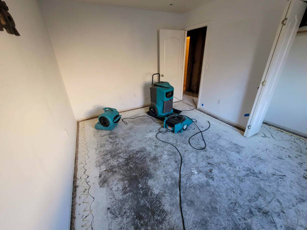 Best Basement water damage restoration  in Midlothian, TX