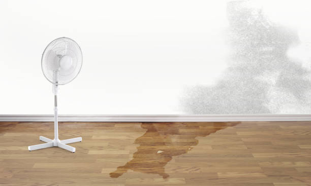Water damage restoration mold remediation in Midlothian, TX