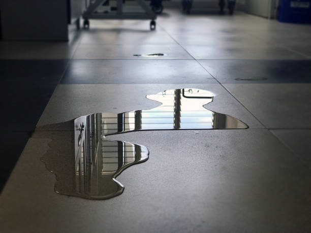 Best Commercial water damage restoration  in Midlothian, TX