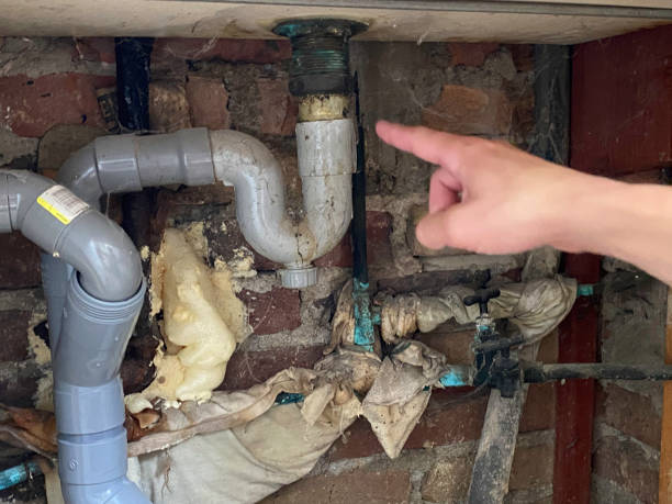 Best Professional water damage repair  in Midlothian, TX
