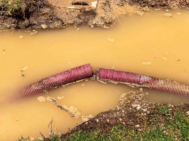 Water damage restoration process in Midlothian, TX