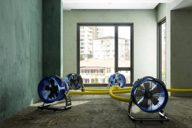 Best Residential water damage restoration  in Midlothian, TX